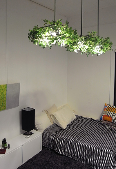 LED  ڥȥ